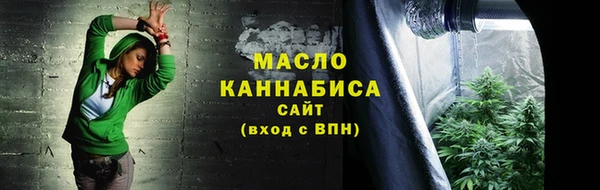 мет Дмитриев
